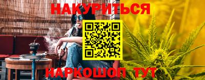 сатива Камышлов