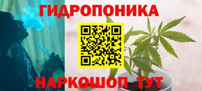 ПСИЛОЦИБИНОВЫЕ ГРИБЫ Канаш