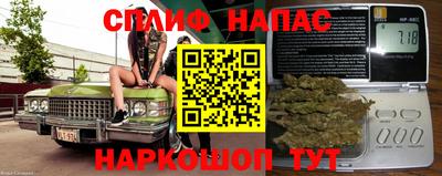 сатива Камышлов