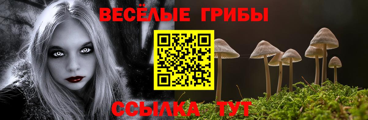 Галлюциногенные грибы Psilocybine cubensis Еманжелинск